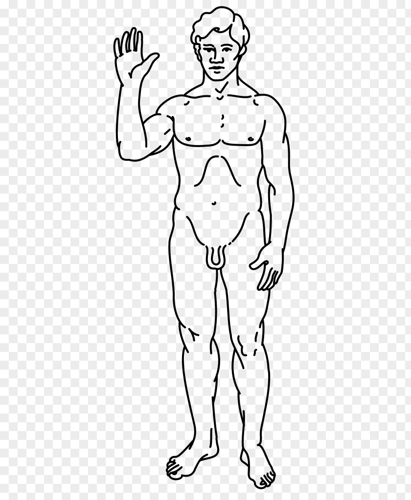 Man Pioneer Plaque Homo Sapiens Male Program PNG