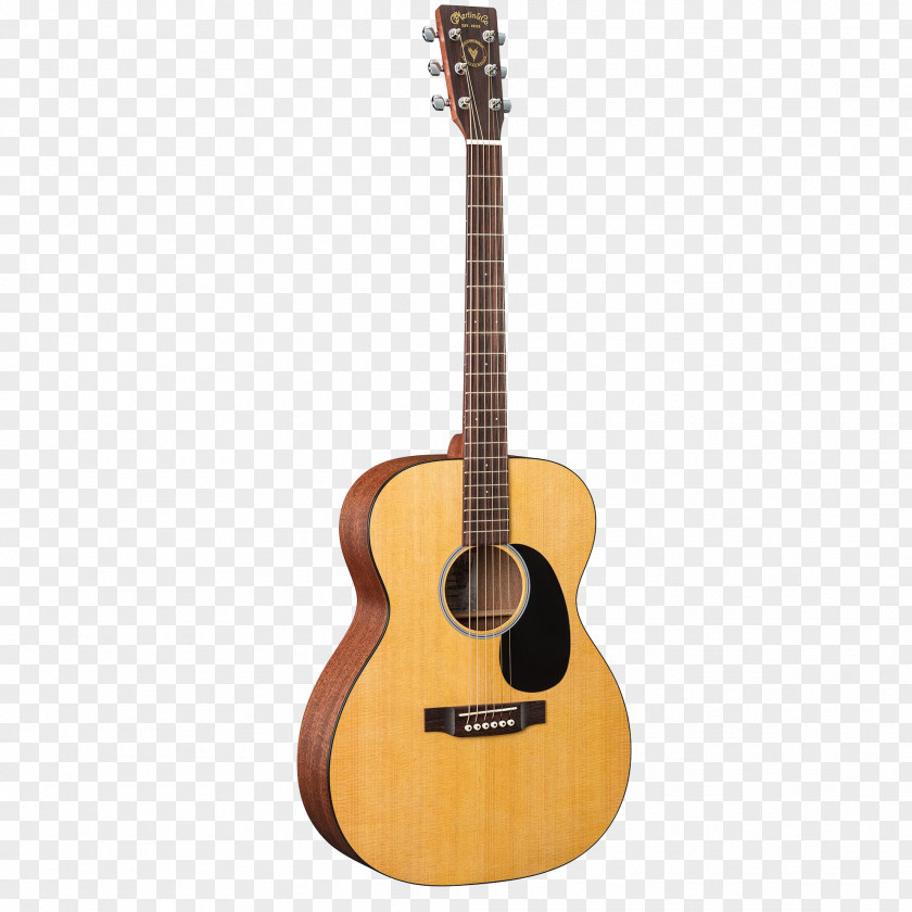 Musical Instruments Twelve-string Guitar Takamine Guitars Steel-string Acoustic String PNG
