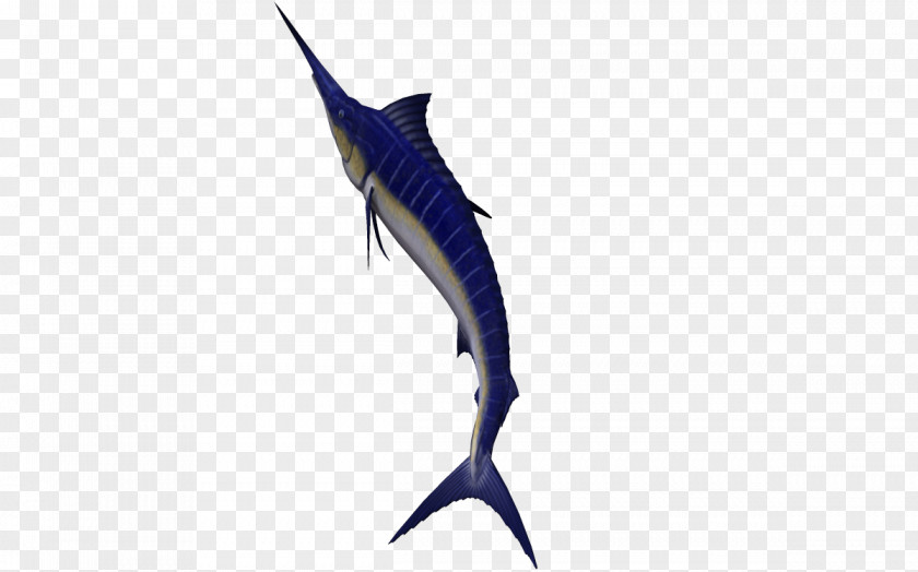 Seabed Animals Swordfish Animal PNG