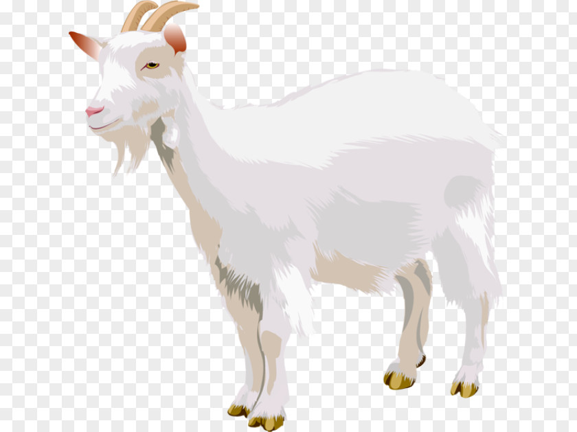 Sheep Boer Goat Three Billy Goats Gruff Clip Art PNG