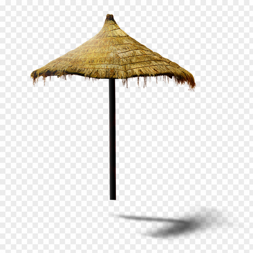 Straw Umbrella Beach Icon PNG