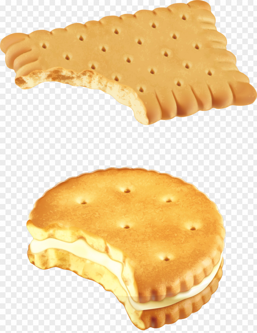 Crispy Butter Biscuits Chocolate Chip Cookie Biscuit Sandwich PNG
