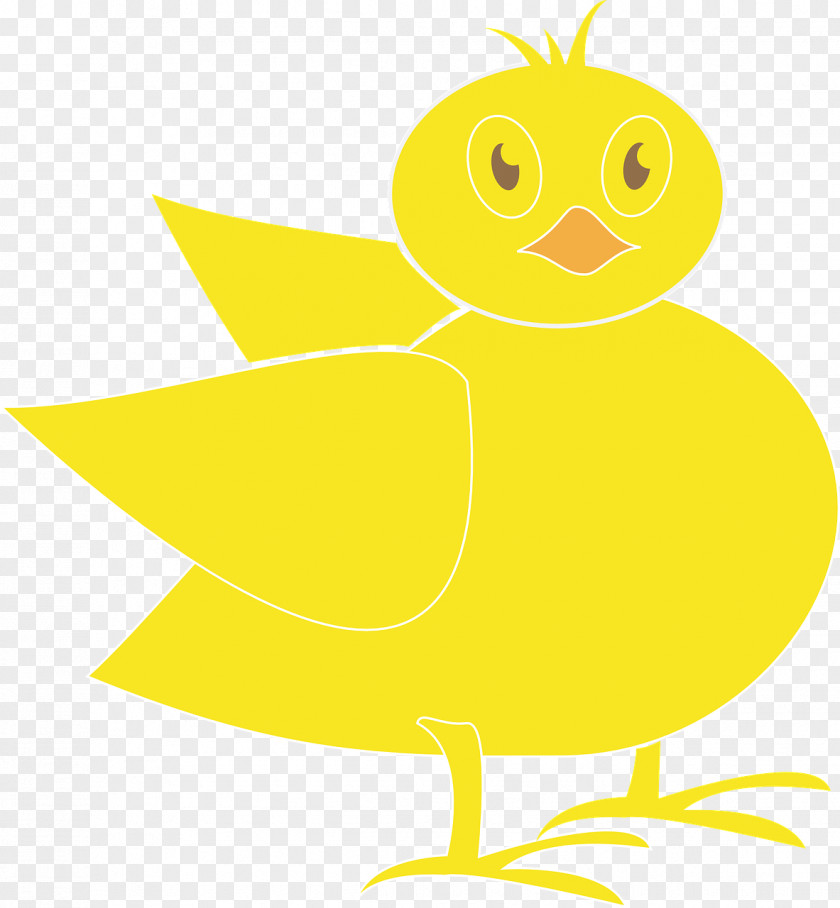 Duck Beak Drawing Cartoon PNG