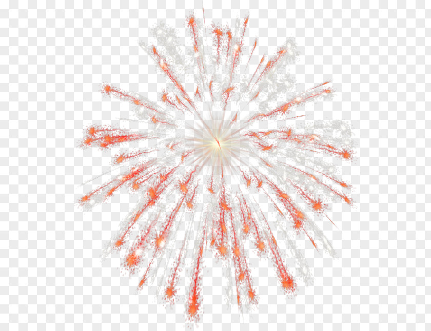 Fireworks Background Independence Day Clip Art PNG