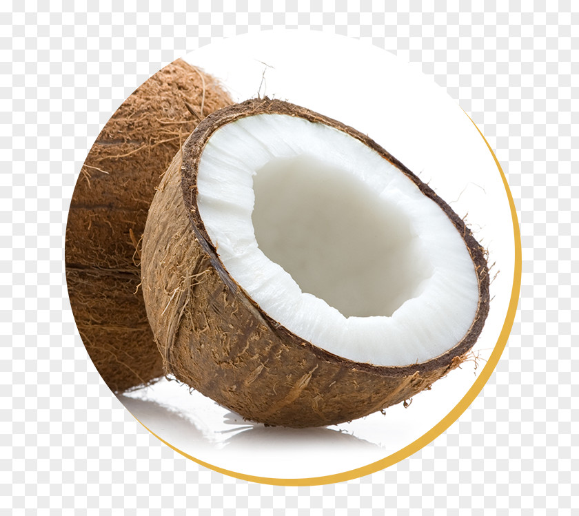 India Stock Photography Food Coconut PNG