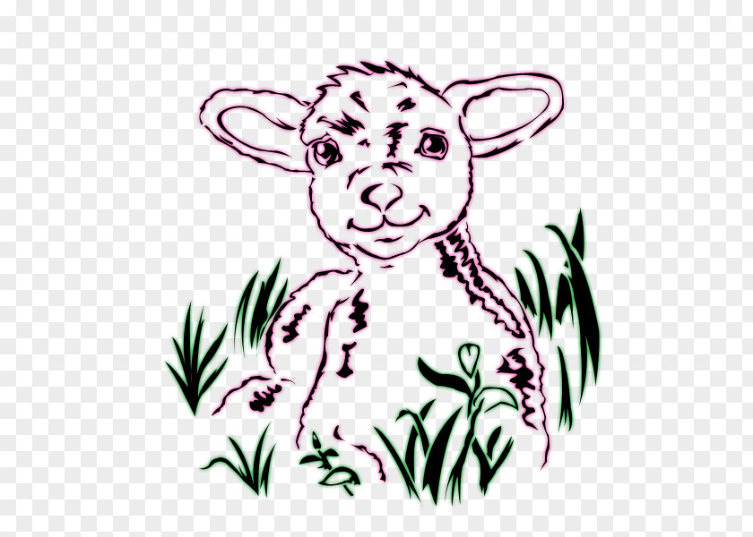 Lamb Sheep Drawing Line Art PNG