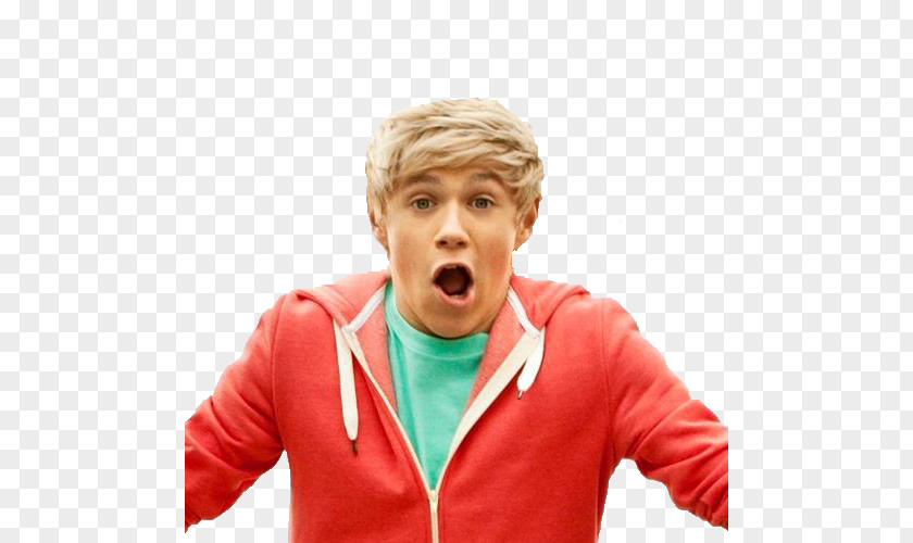 Niall Horan One Direction Love DeviantArt PNG