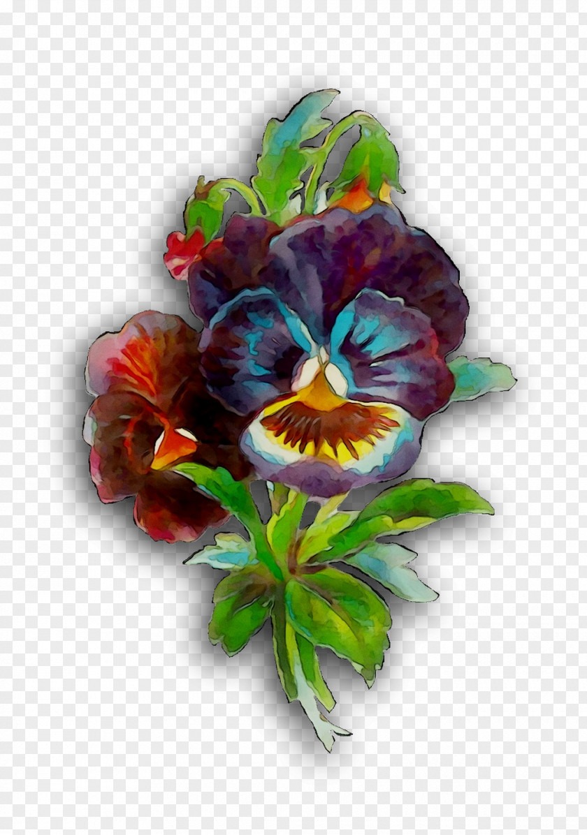 Pansy Floral Design Cut Flowers PNG