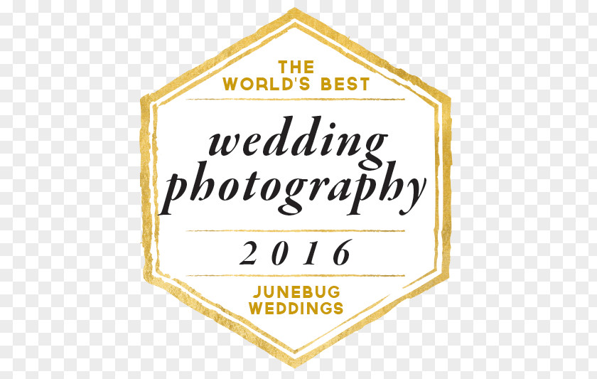 Photographer Wedding Photography Elopement PNG