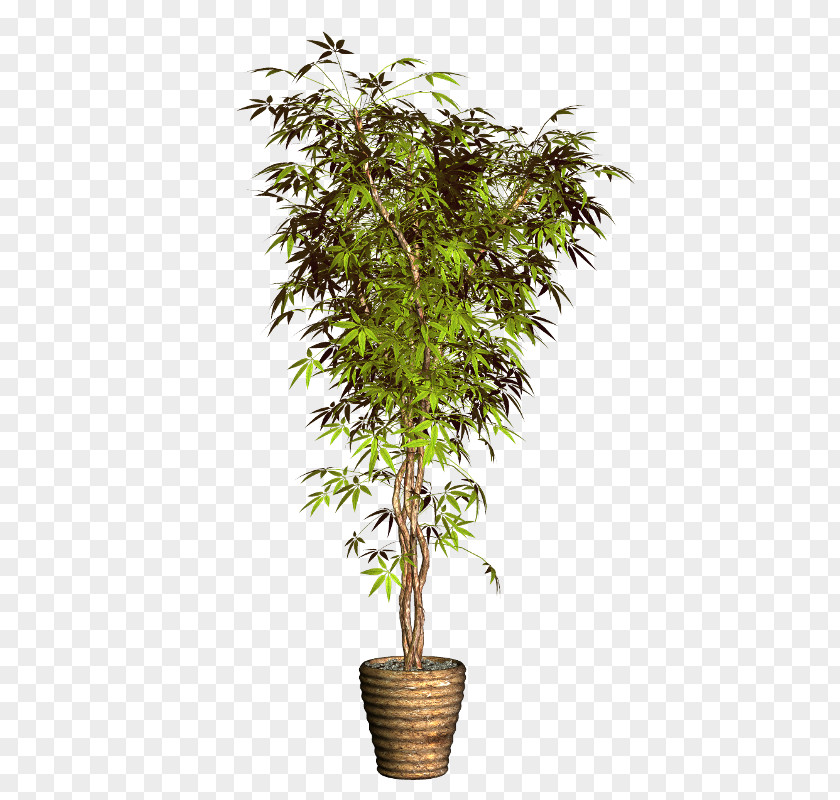 Plant Flowerpot Вазон Clip Art PNG