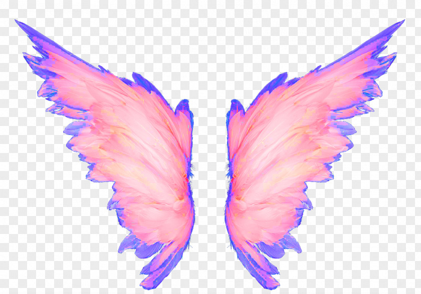 Hand-painted Pink Wings PNG pink wings clipart PNG