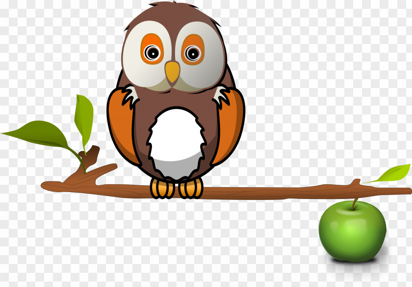 Owls Branch Owl Tree Clip Art PNG