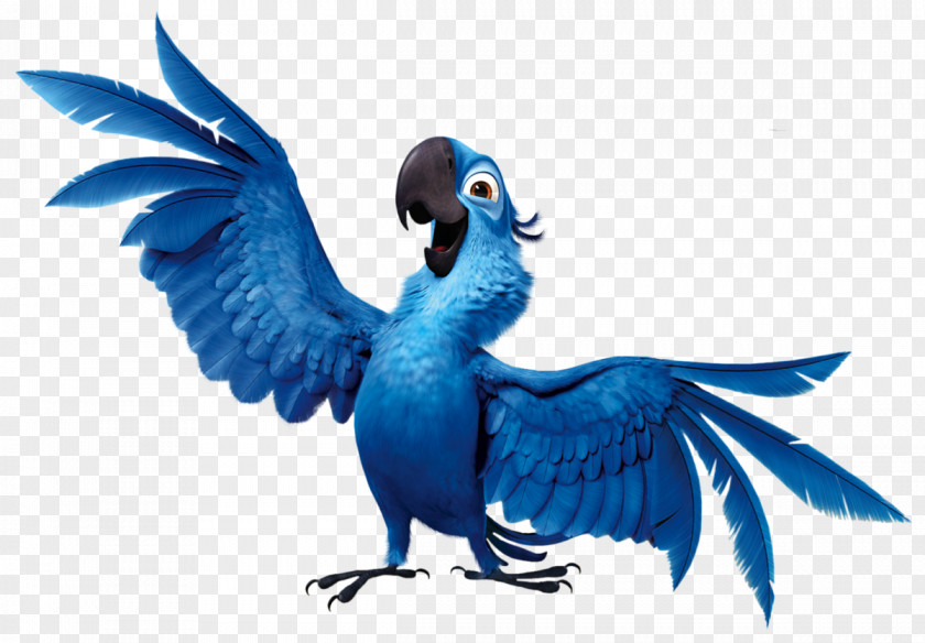 Parrot Jewel Blu 4D Film Rio PNG