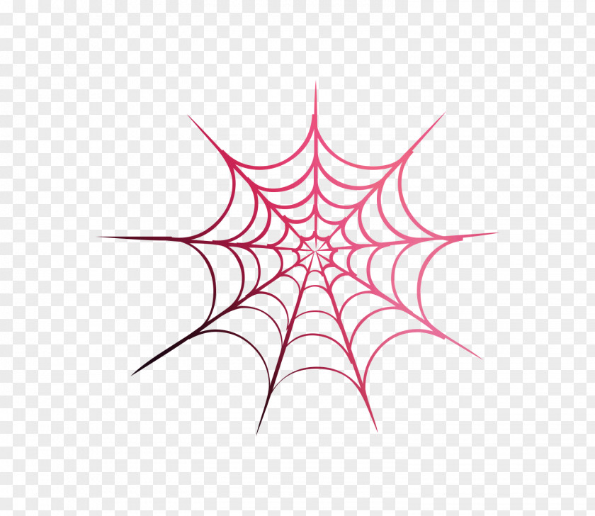 Spider Web Vector Graphics Image Illustration PNG
