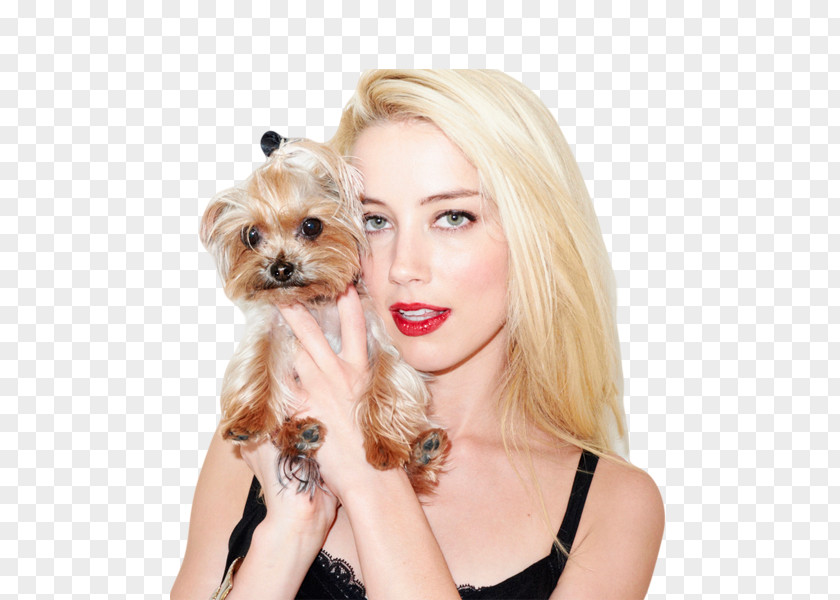 Amber Heard Friday Night Lights Actor Photographer Dog Breed PNG