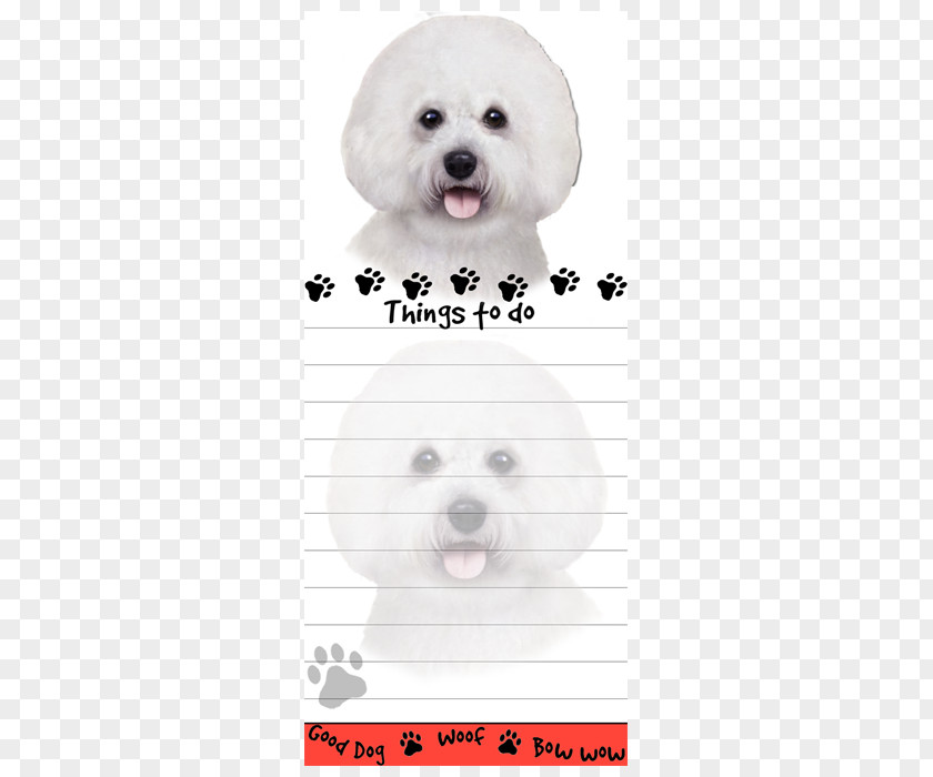 Bichon Frise Maltese Dog Border Collie Puppy Siberian Husky PNG