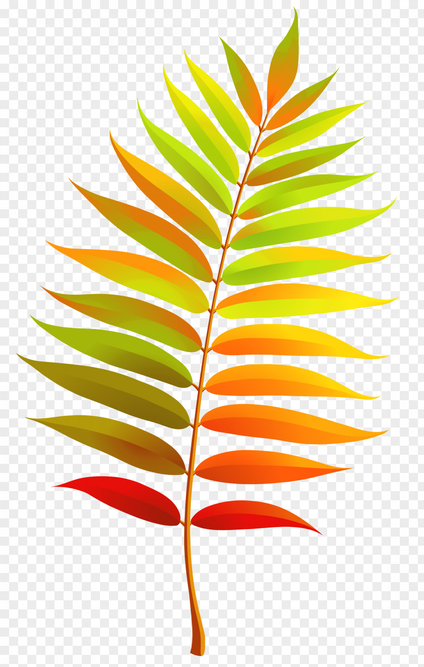Colorful Transparent Fall Leaf Clipart Clip Art PNG