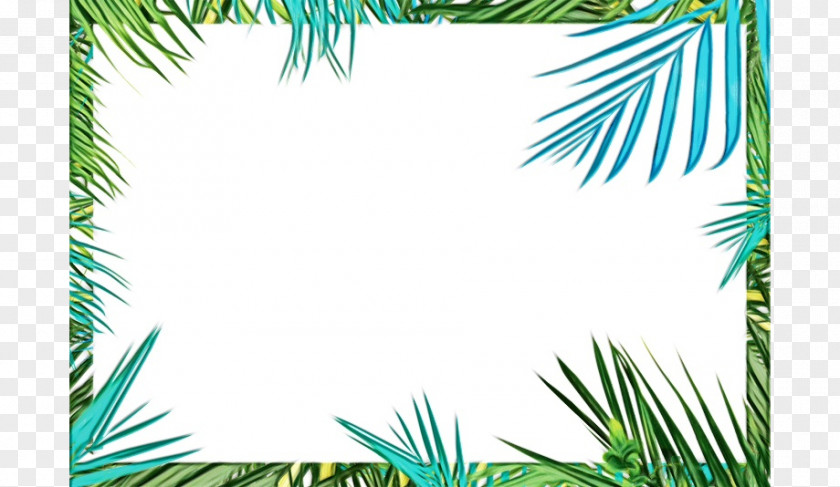 Conifer Pine Picture Frame PNG
