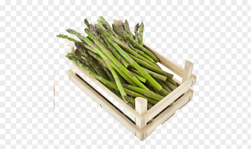 Green Bamboo Shoots Model Asparagus Organic Food Veggie Burger Breakfast Cereal Vegetable PNG