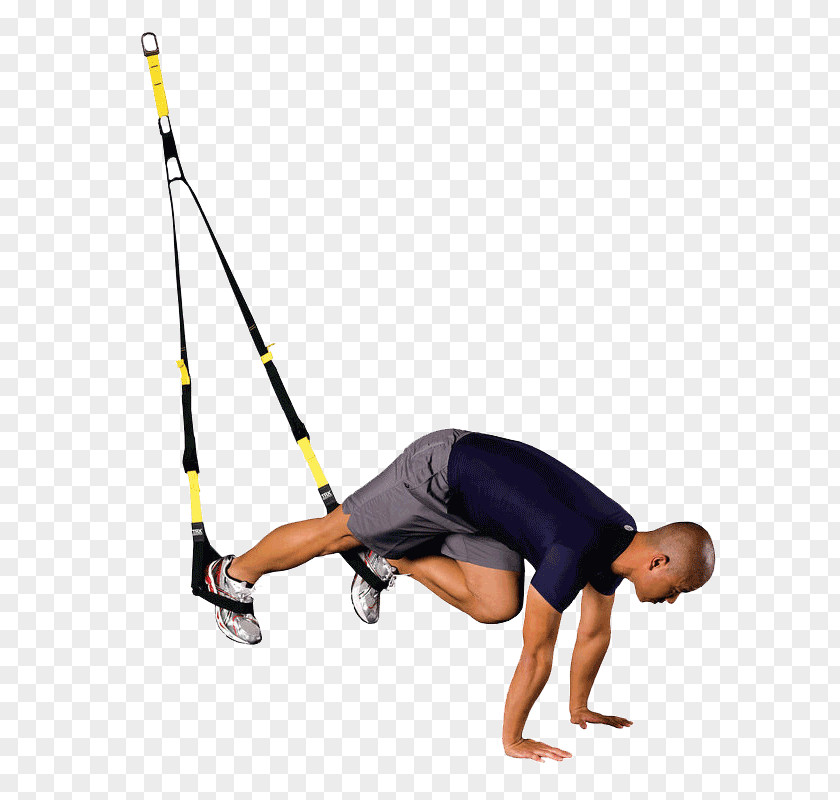 Suspension Training Strength Exercise Fitness Centre PNG