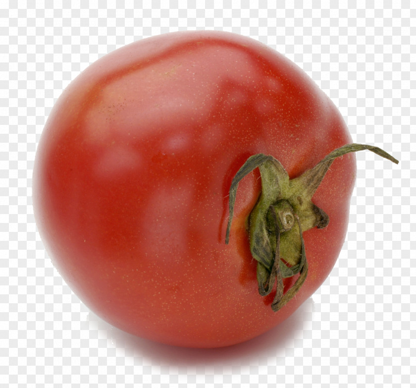 Tomato Plum Ku014denji Waniz Hall Bush PNG