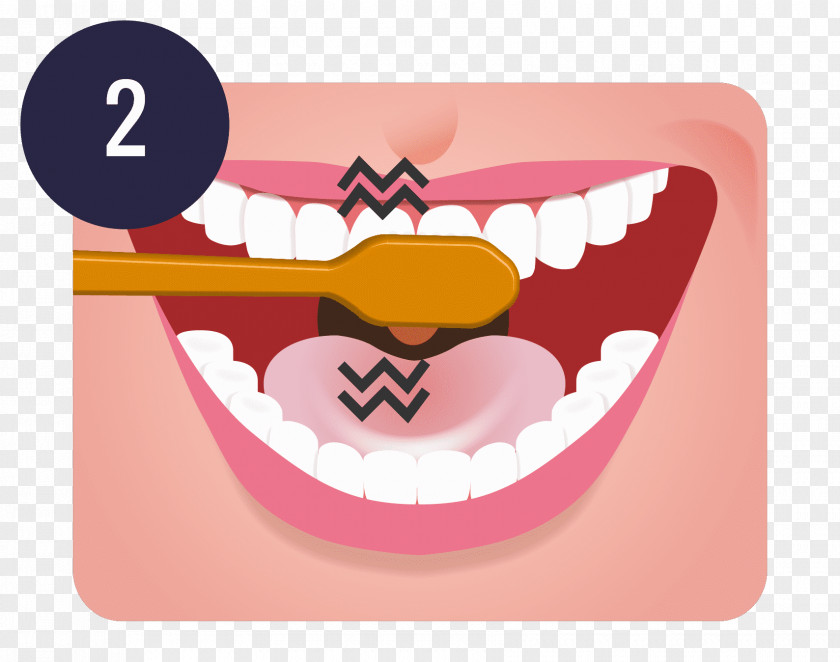 Tooth Brushing Teeth Cleaning Dentistry Oral Hygiene PNG brushing cleaning hygiene, teeth clipart PNG