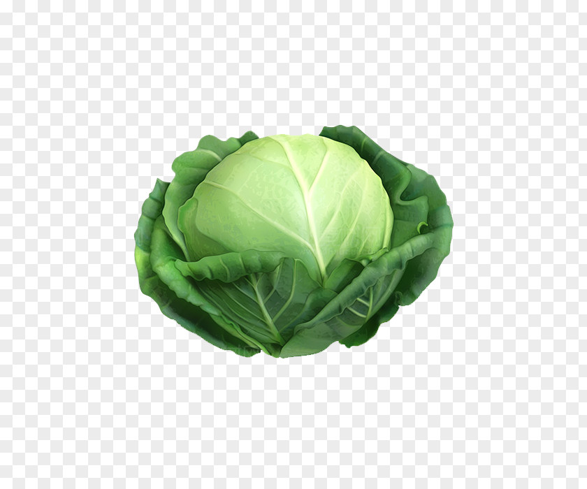 Vegetable Cabbage Cauliflower Irish Cuisine PNG
