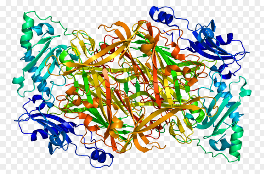 AOC3 Amine Oxidase (copper-containing) DNA Polymerase Gene PNG
