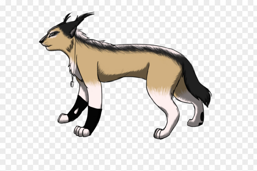 Caracal Lynx Red Fox Dog Cat Fauna Cartoon PNG