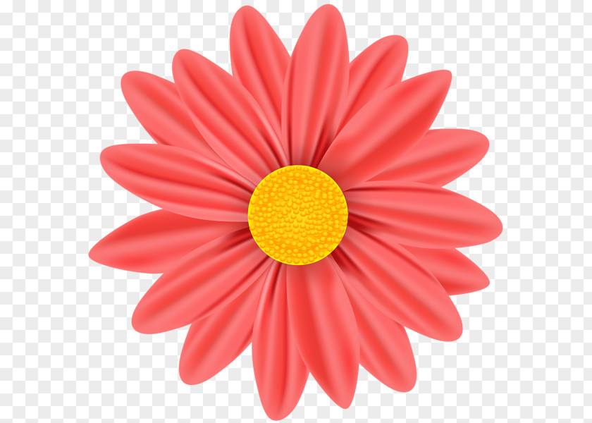 Daisy Images Vector Graphics Illustration Stock Photography Royalty-free Stock.xchng PNG