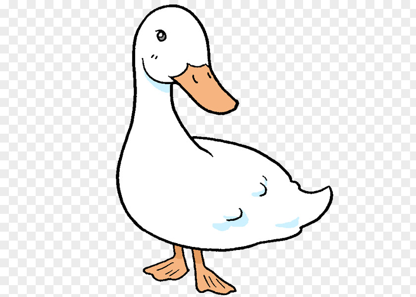 Duck Goose Line Art Beak Clip PNG