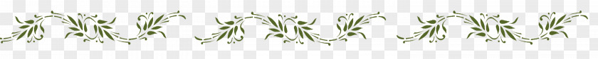 Green Flower Grasses Desktop Wallpaper Plant Stem Computer Pattern PNG