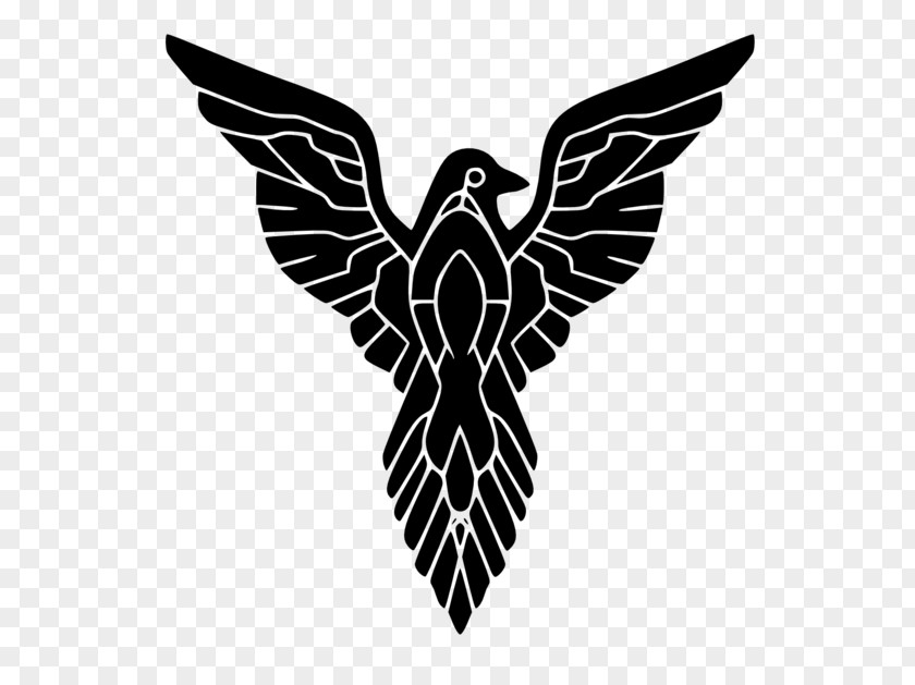 Raven Common Symbol Banner Meaning PNG