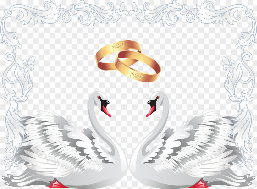 Swan Wedding Ring Elements Invitation Black Clip Art PNG