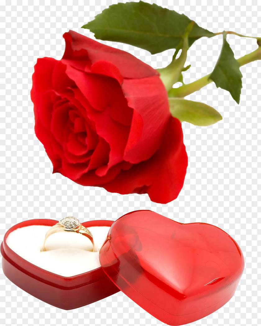 Wedding Ring Engagement Valentine's Day PNG