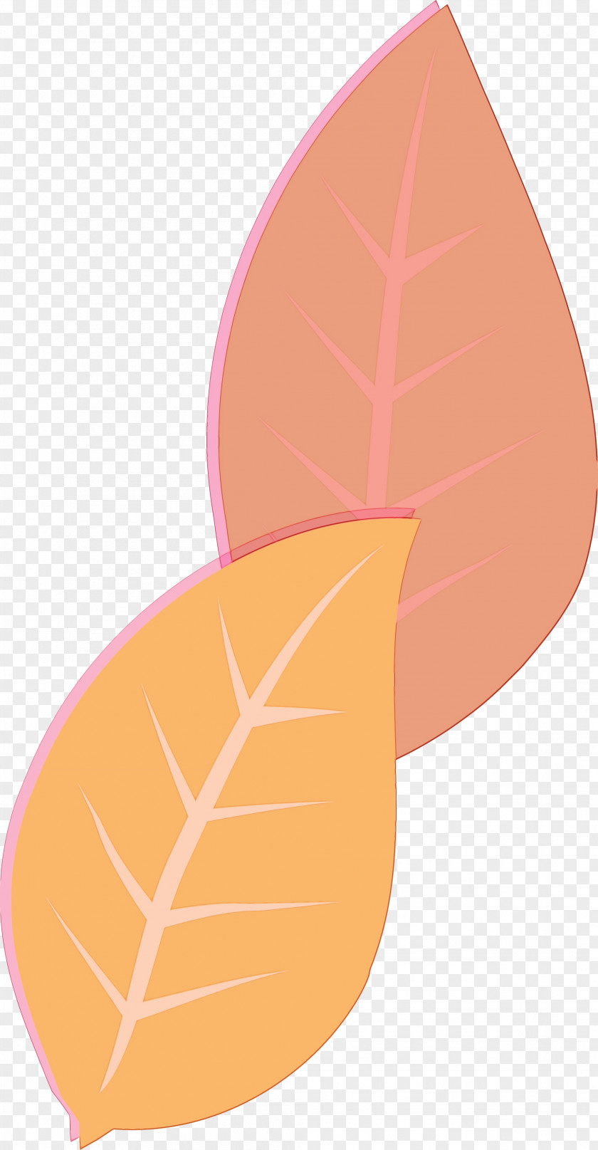 Angle Leaf Line Commodity Peach PNG
