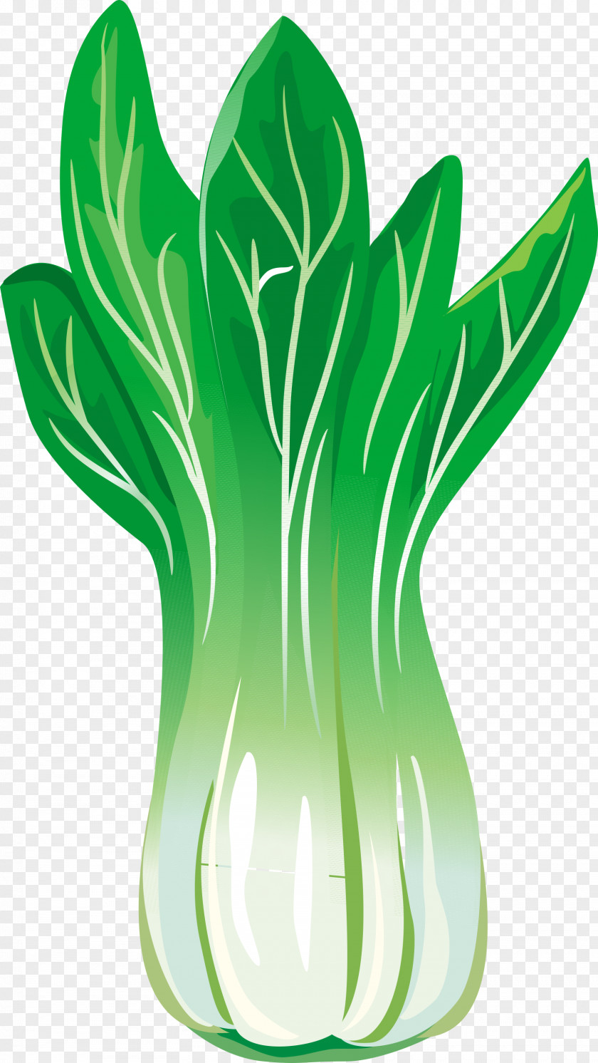 Green Vegetables Chinese Cabbage Leaf Vegetable PNG