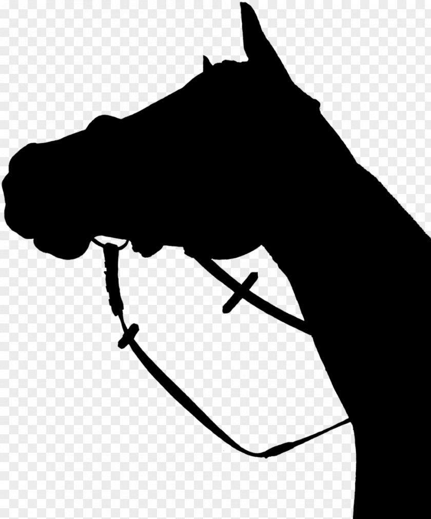 Hand Silhouette Head Line Art Black-and-white Horse Snout PNG