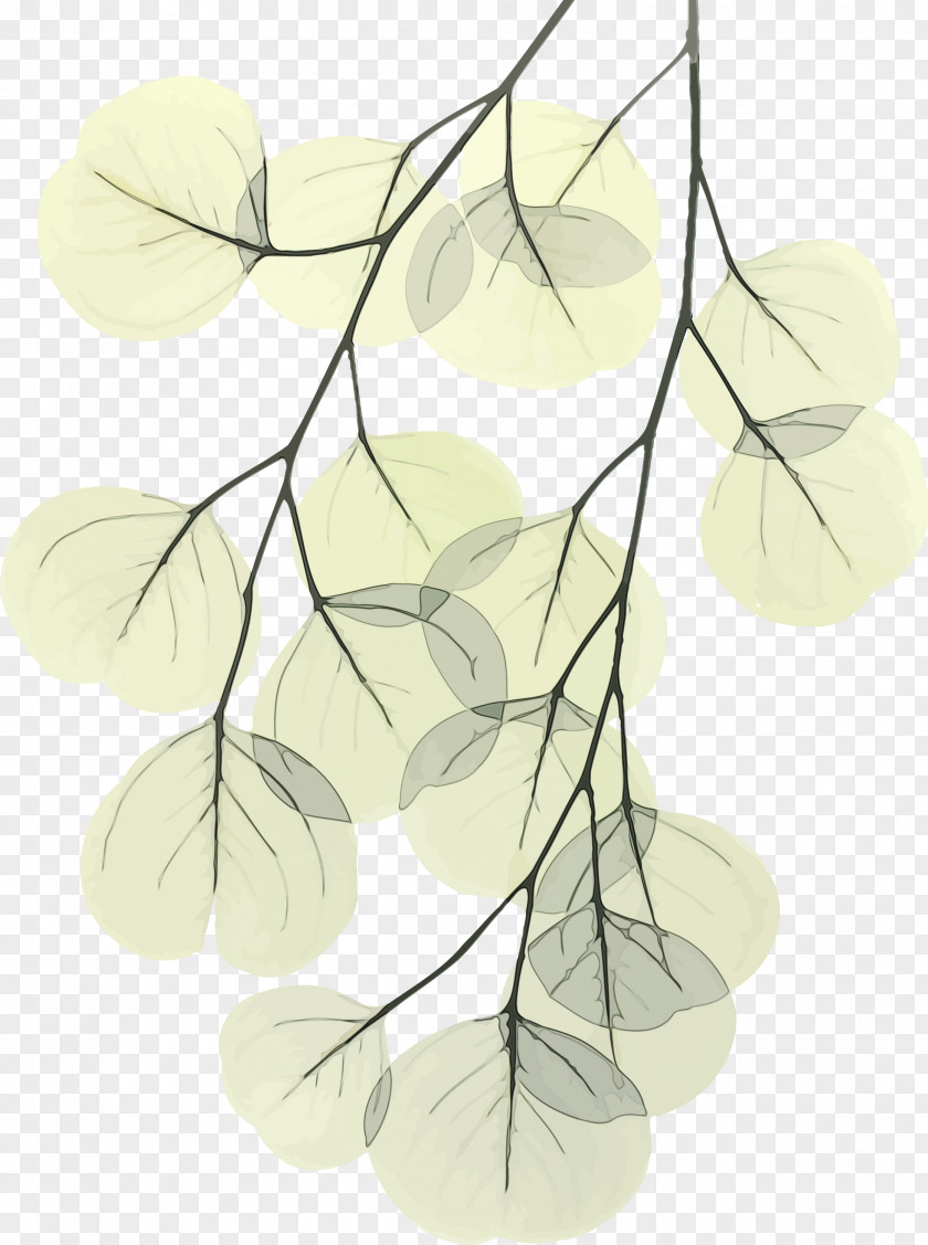 Leaf Branch Plant Line Tree PNG