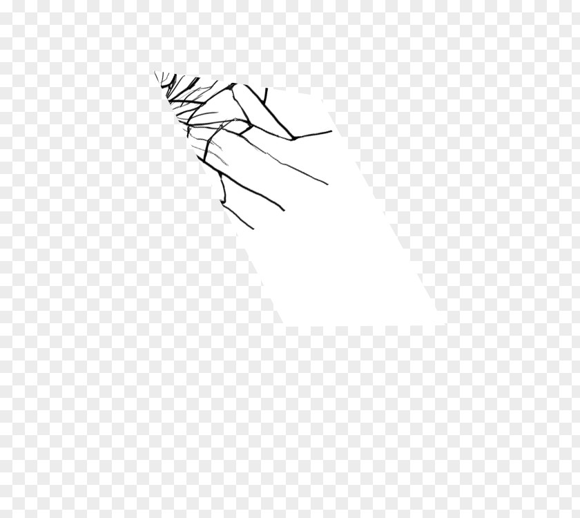 /m/02csf Drawing Twig Line Art Clip PNG