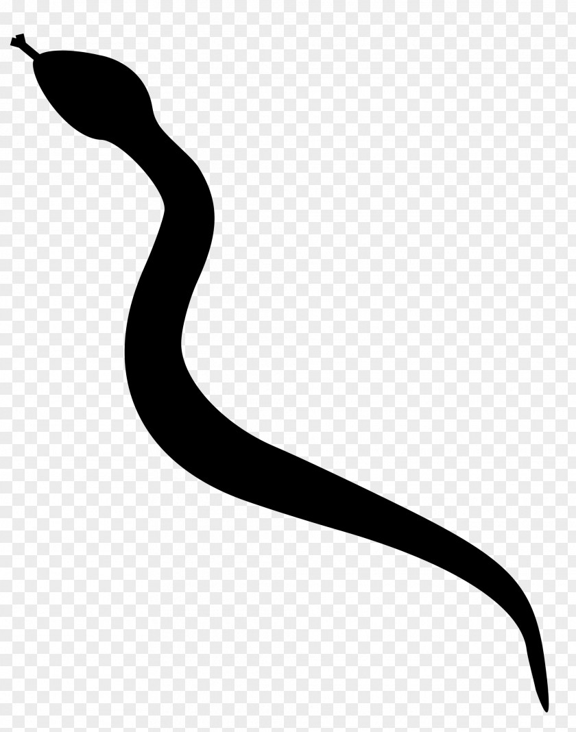 Snakes Rattlesnake Silhouette Clip Art PNG
