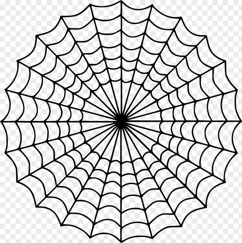 Spider Web Coloring Book Child Drawing PNG