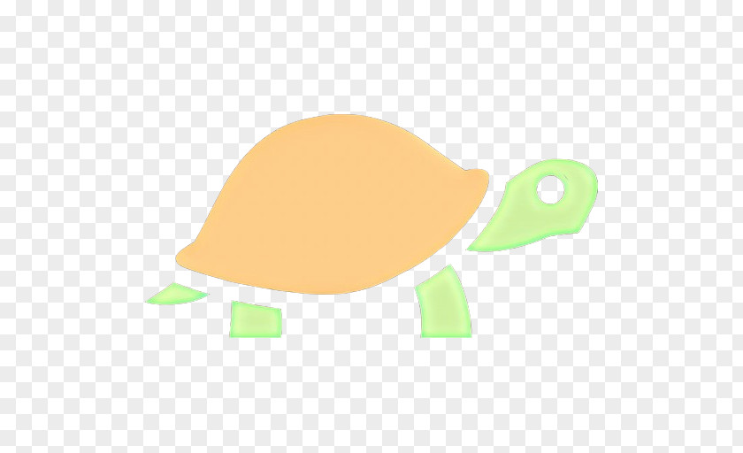 Turtle Cap Green Leaf Background PNG