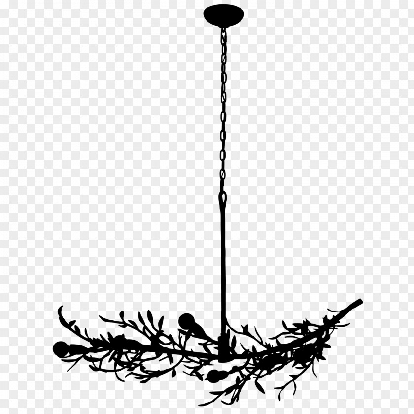 Candle Holder Plant Light Cartoon PNG