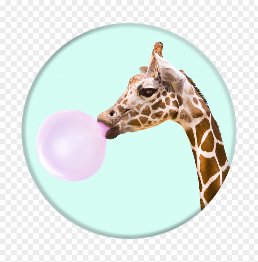 Chewing Gum Bubble Mobile Phones PopSockets PNG