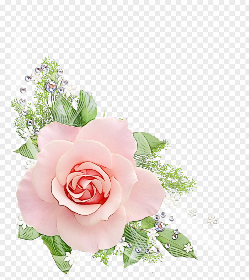 Clip Art Rose Pink Artificial Nails PNG