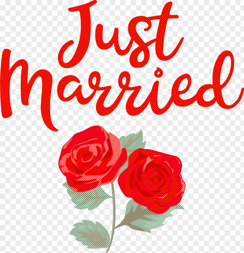 Just Married Wedding PNG