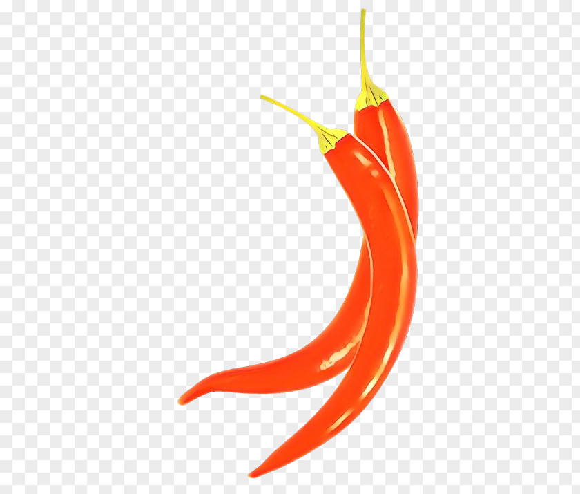 Plant Vegetable Orange PNG