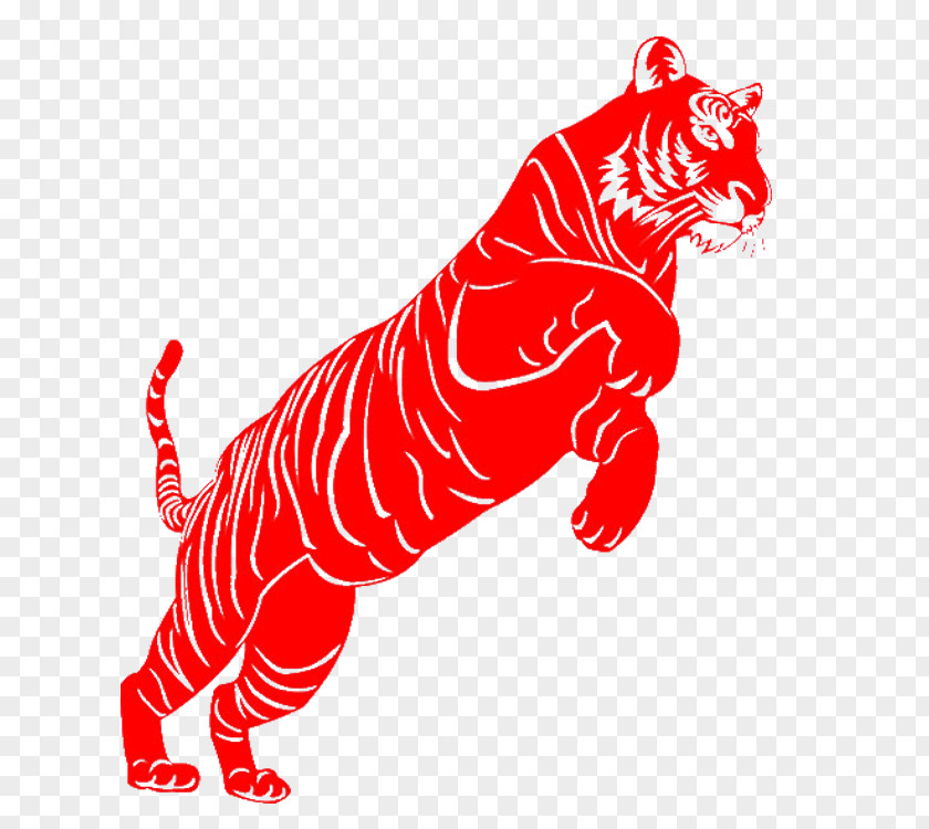 Cat Tiger Lion PNG