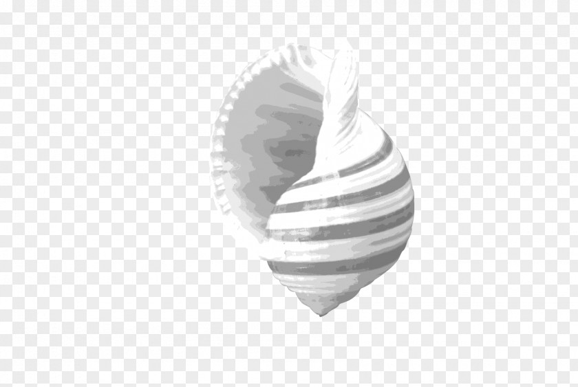 Conch Black And White Pattern PNG